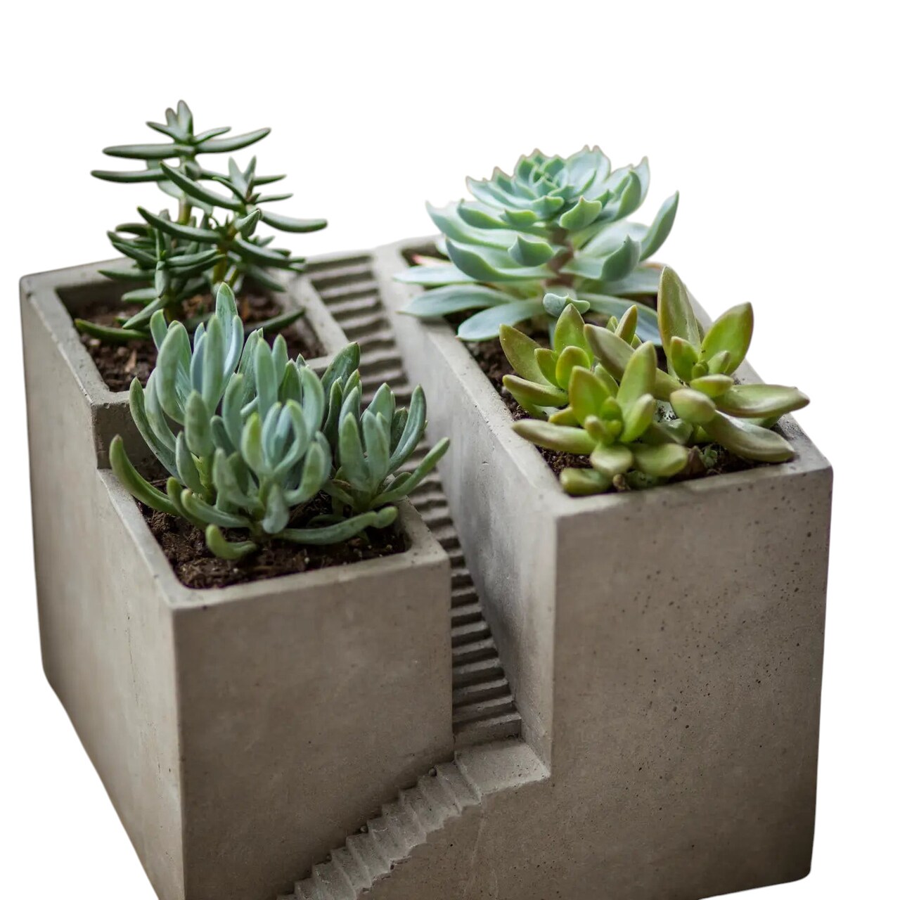 Cement Cube Planter Set Square Concrete Planters for Indoor Plants 6.75"